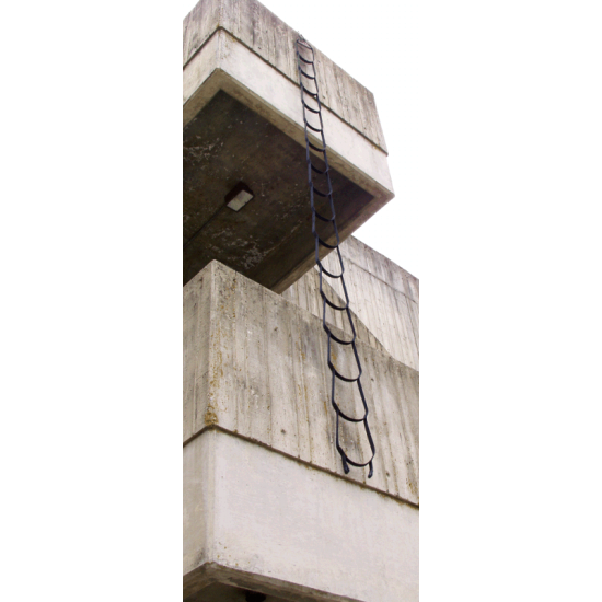 529 20 ft. Rescue/Urban Assault Ladder