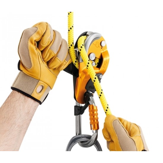 7018 Petzl RIG Descender - Gold