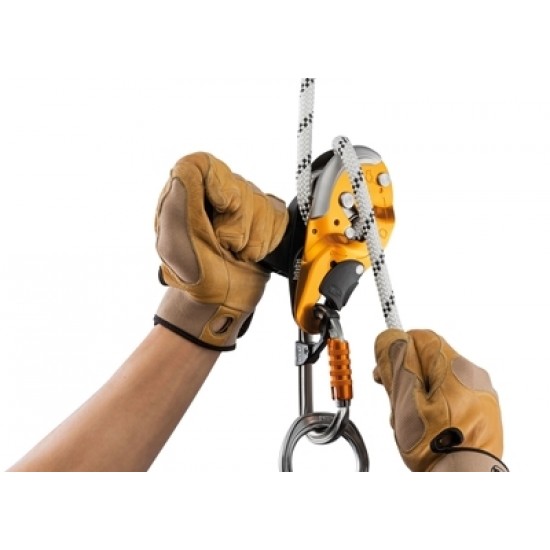 7019 Petzl I’D "S"