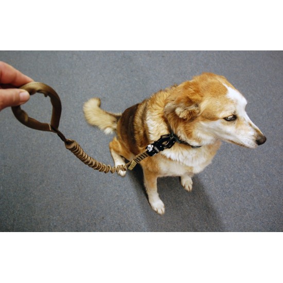 572DL Quick Disconnect FROG Canine Leash