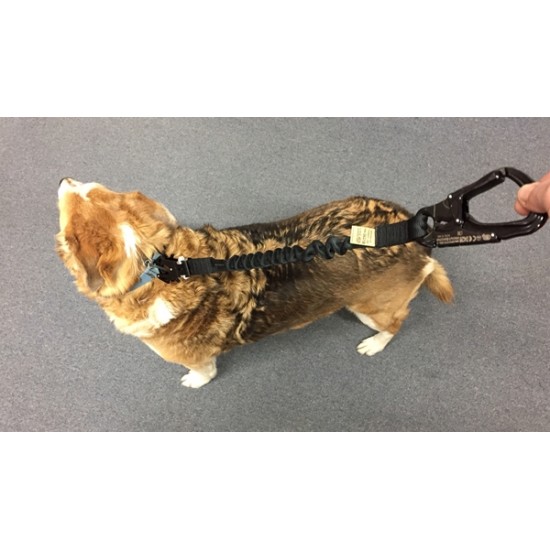 565FROG SF Personal Retention Lanyard w/Kong FROG 360 Quick Disconnect