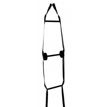 529CLT 20 ft. CarbonLite Rescue/Assault Ladder